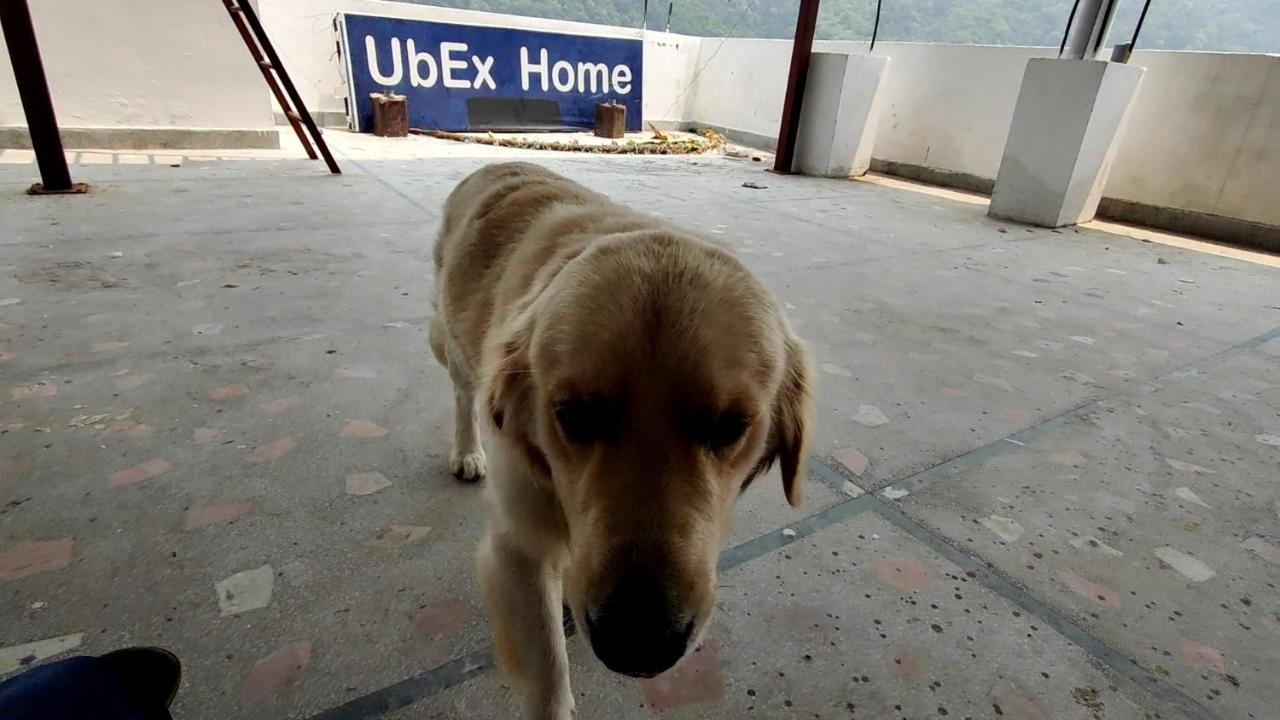 רישיקש Ubex Home מראה חיצוני תמונה